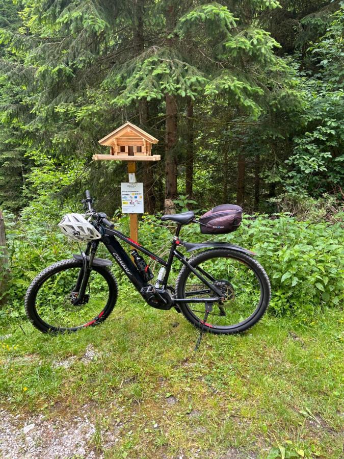 Haus Laubreuter Apartamento