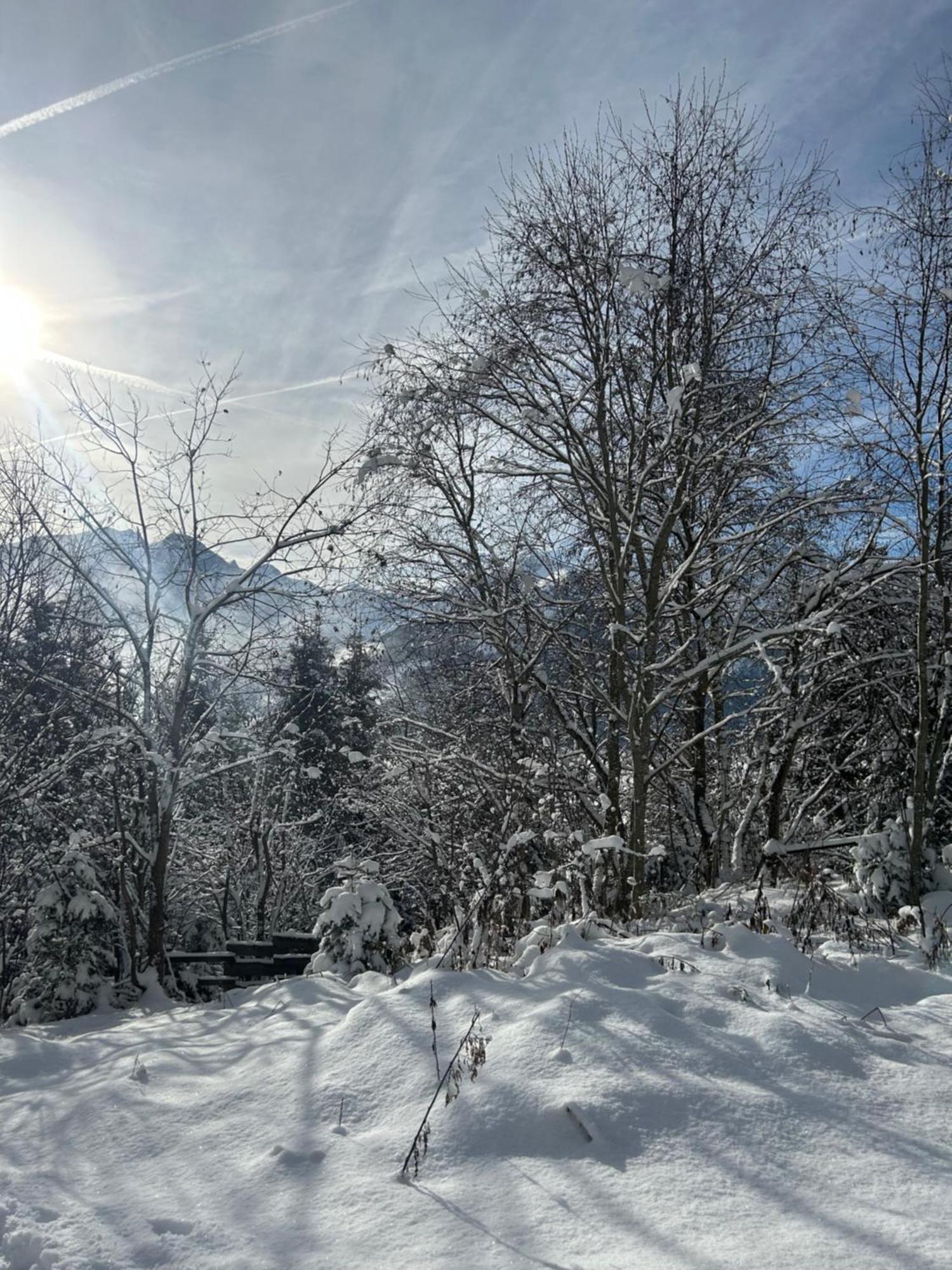 Apartamento Haus Laubreuter *