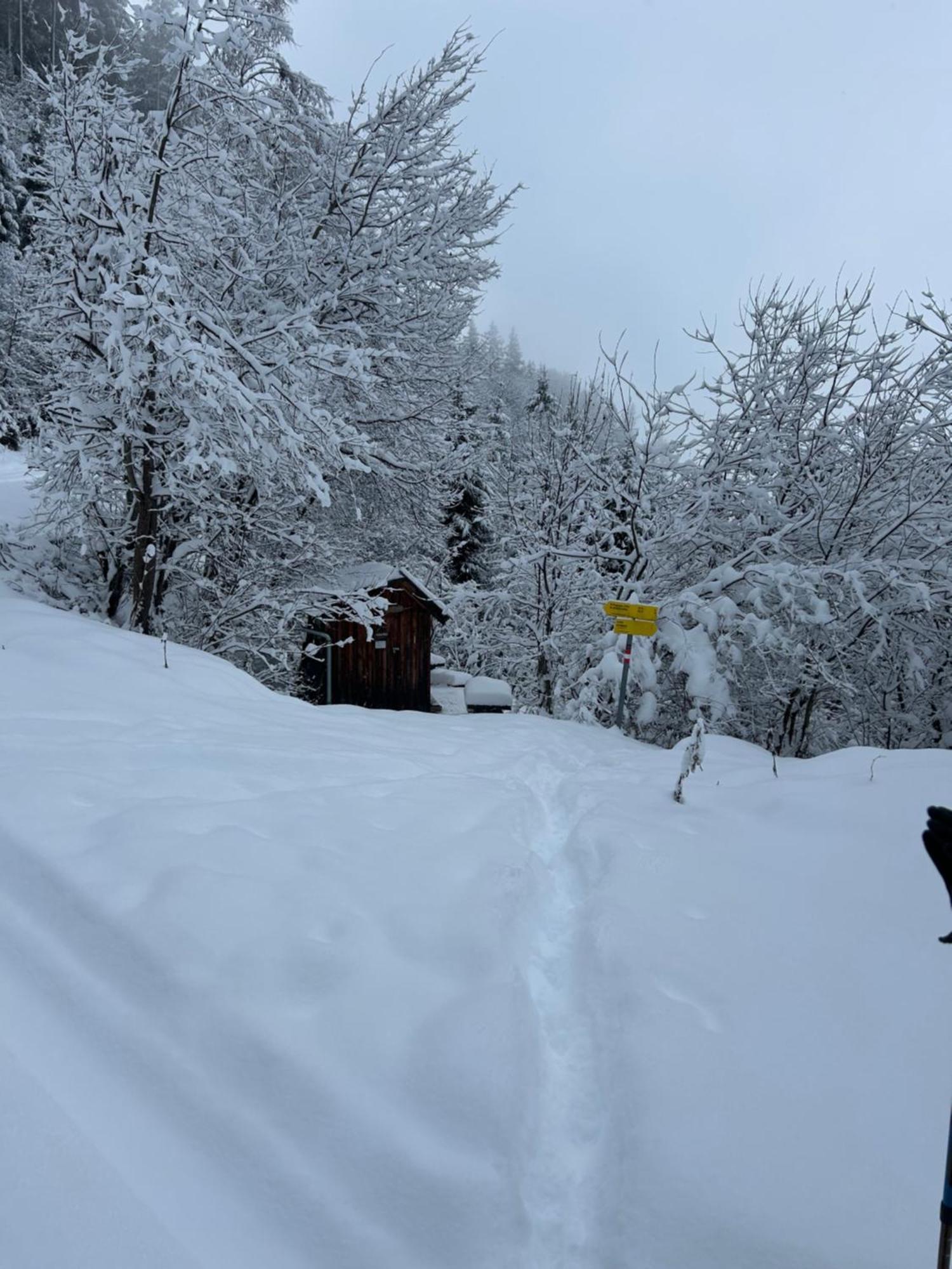 Appartement Haus Laubreuter Kaprun