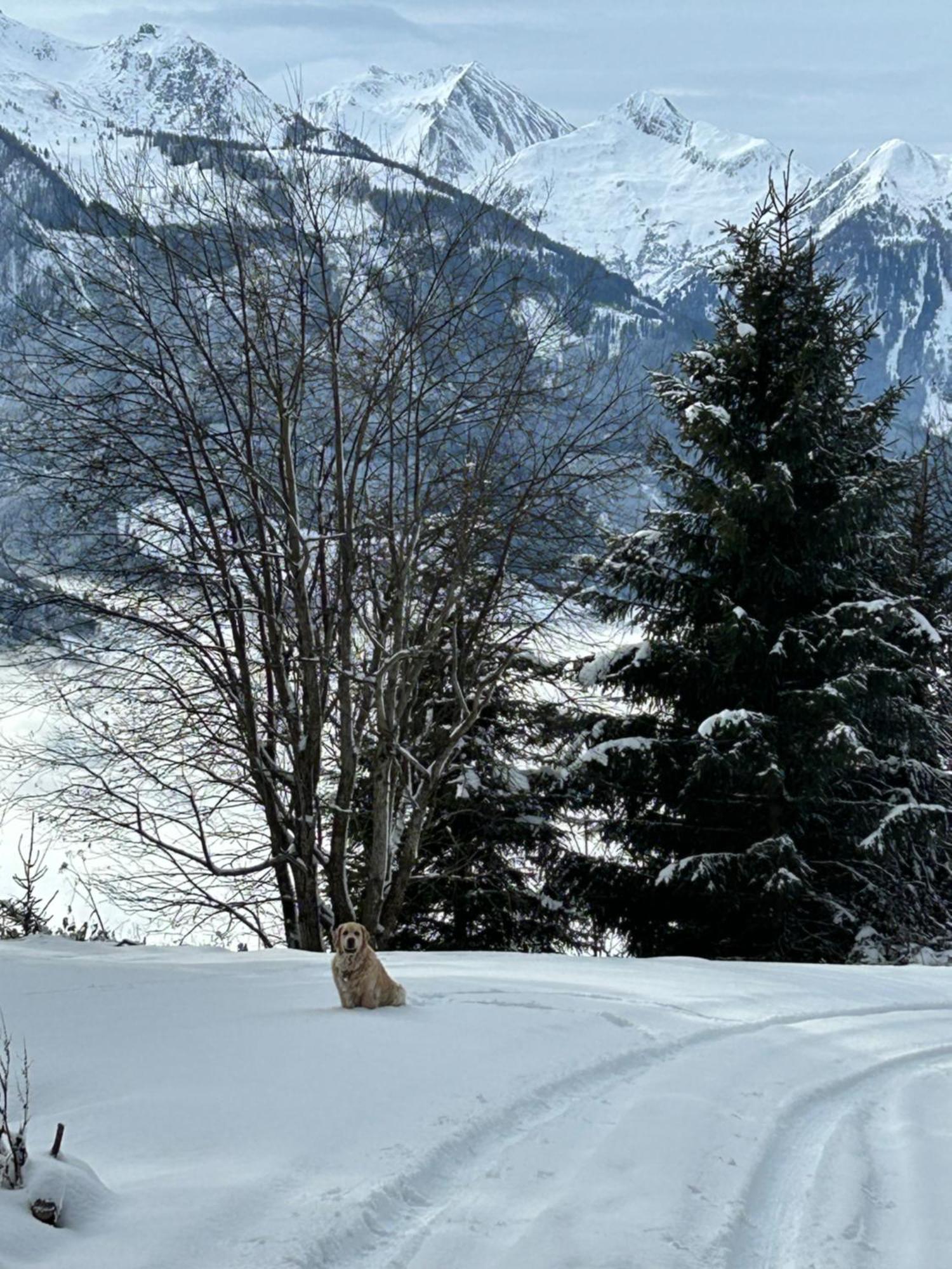 Haus Laubreuter * Kaprun